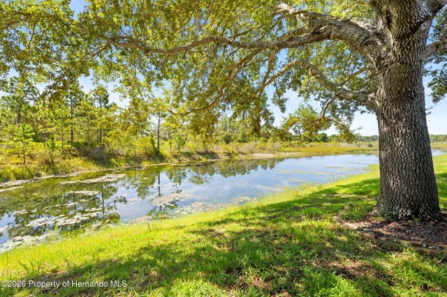 9250 Mississippi, Weeki Wachee, FL 34613