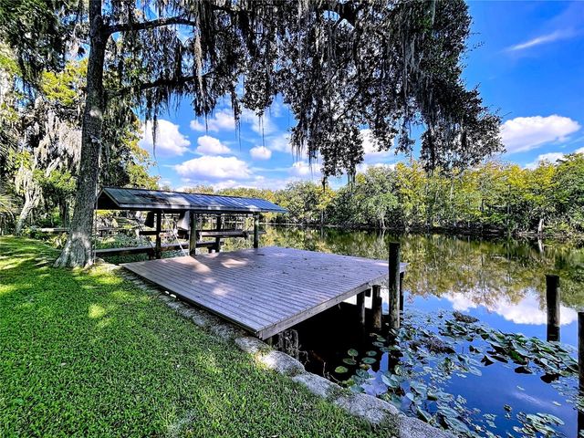 1601 N RIVERHILLS DRIVE, Temple Terrace, FL 33617