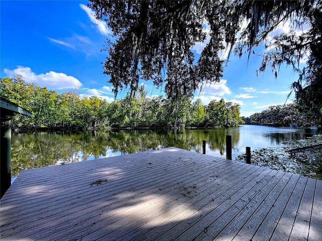 1601 N RIVERHILLS DRIVE, Temple Terrace, FL 33617