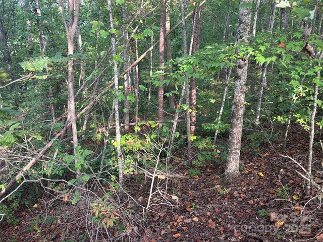 Lot 7 Madison Lane, Robbinsville, NC 28771