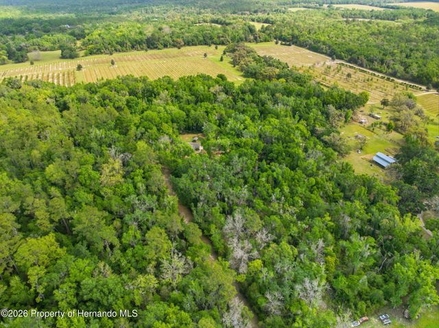 11459 Trail Ridge, Brooksville, FL 34601