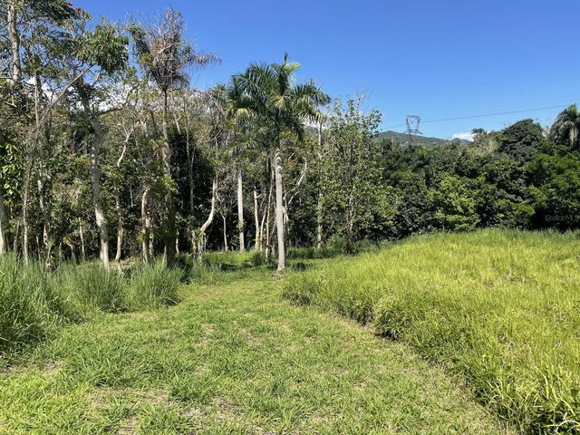 CALLE CARRAIZO, Caguas, PR 00725