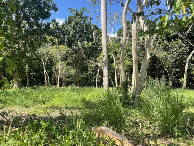 CALLE CARRAIZO, Caguas, PR 00725