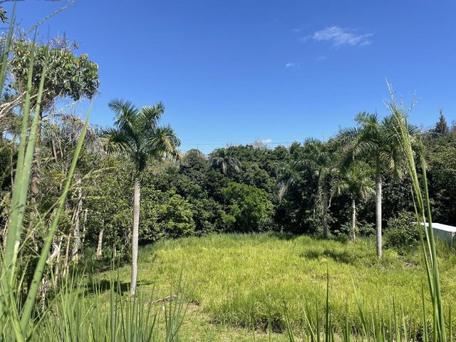 CALLE CARRAIZO, Caguas, PR 00725