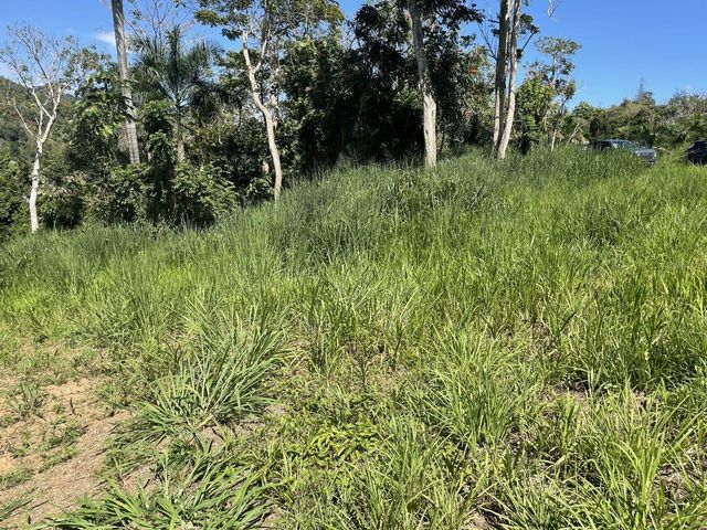 CALLE CARRAIZO, Caguas, PR 00725