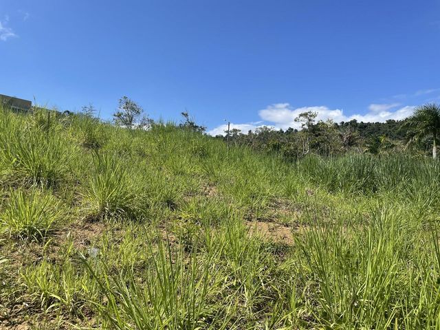 CALLE CARRAIZO, Caguas, PR 00725