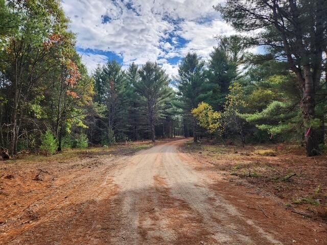 Parcel H Tatanka Trail, Baldwin, MI 49304