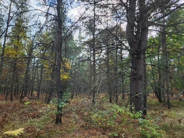 Parcel H Tatanka Trail, Baldwin, MI 49304