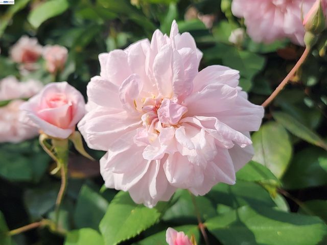 634 8TH St, Richmond, CA 94801