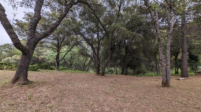 8209 Mountain Meadow Dr, Mountain Ranch, CA 95246