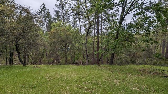 8209 Mountain Meadow Dr, Mountain Ranch, CA 95246