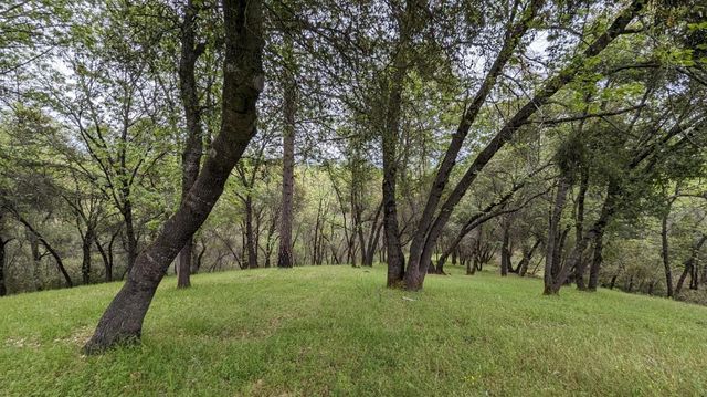 8209 Mountain Meadow Dr, Mountain Ranch, CA 95246