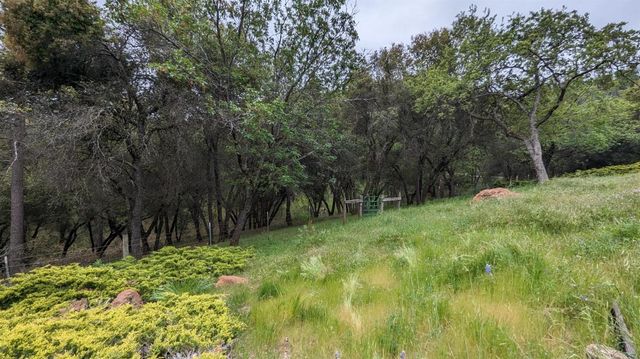 8209 Mountain Meadow Dr, Mountain Ranch, CA 95246