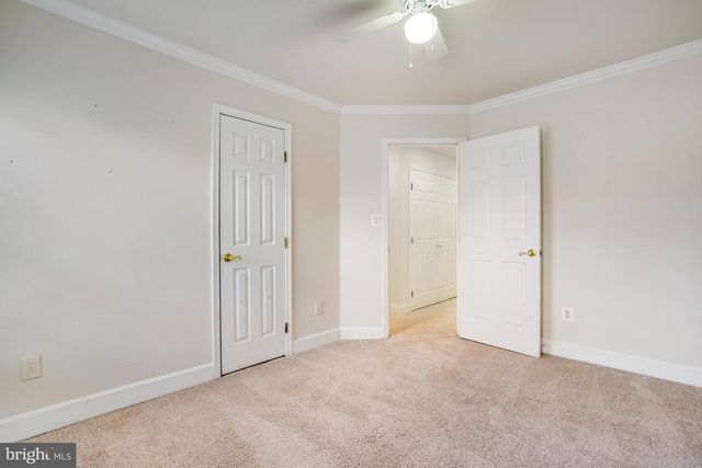 2505 GADSBY PL, Alexandria, VA 22311