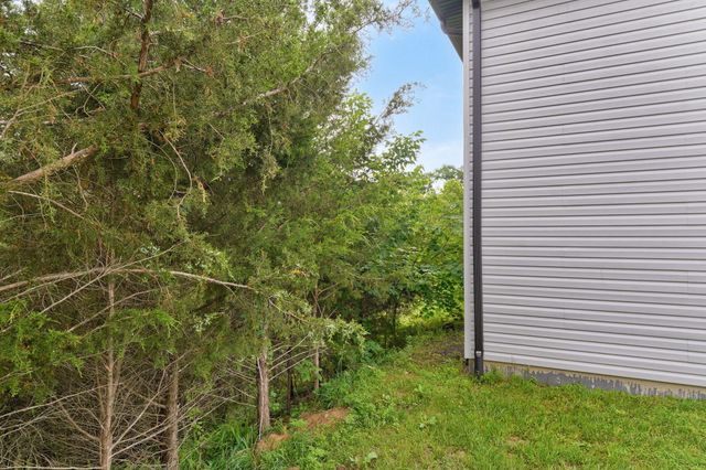 175 Sunrise Villa Drive, Branson, MO 65616