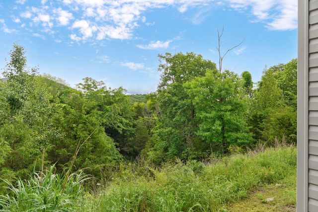 175 Sunrise Villa Drive, Branson, MO 65616