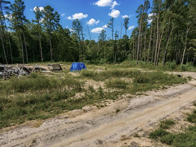 11238 Wildwood Lane, Plantersville, TX 77363