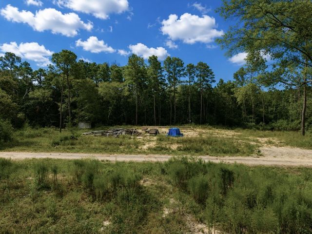 11238 Wildwood Lane, Plantersville, TX 77363