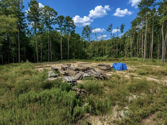 11238 Wildwood Lane, Plantersville, TX 77363