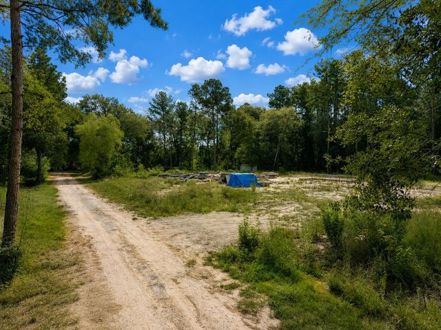 11238 Wildwood Lane, Plantersville, TX 77363