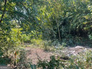 207 Morris Street, Palmetto, GA 30268