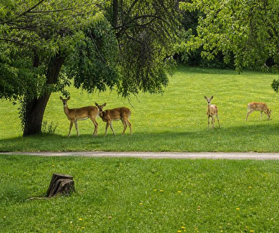 6270 Mack Road, Howell, MI 48855