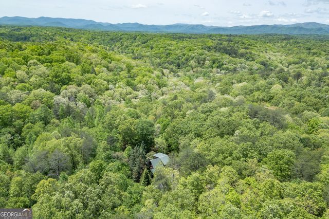 1204 Brookhaven Lane, Blue Ridge, GA 30513