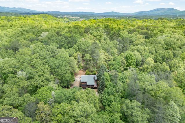 1204 Brookhaven Lane, Blue Ridge, GA 30513