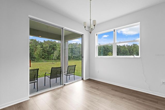 10742 NEW MORNING DRIVE, Tampa, FL 33647