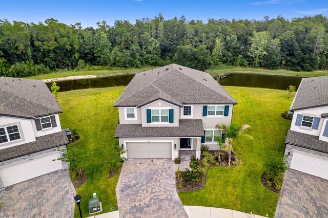 10742 NEW MORNING DRIVE, Tampa, FL 33647