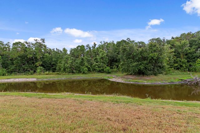 10742 NEW MORNING DRIVE, Tampa, FL 33647