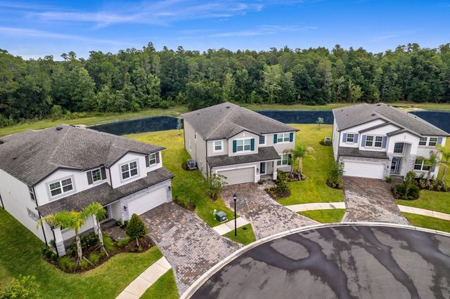 10742 NEW MORNING DRIVE, Tampa, FL 33647