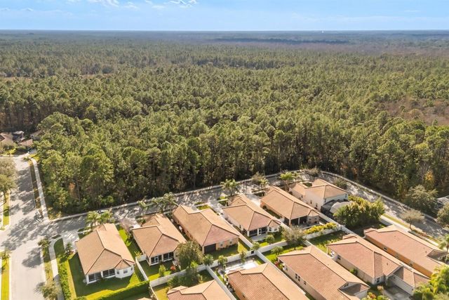 3451 LUNA BELLA LANE, New Smyrna Beach, FL 32168