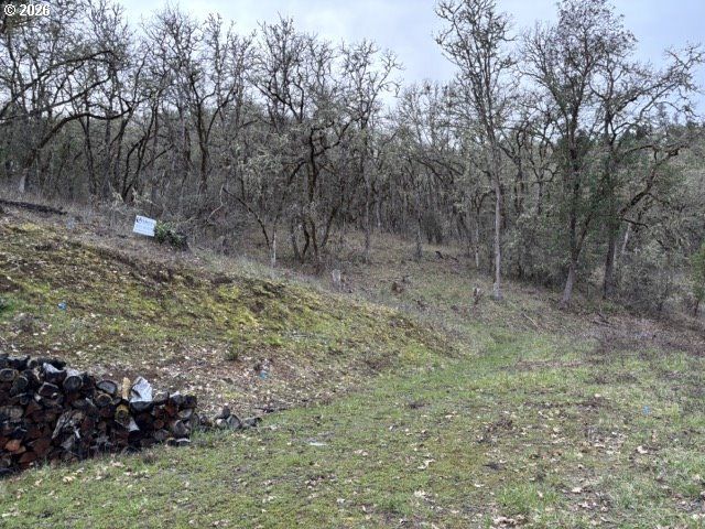 996 Se EAGLES VIEW Dr, Roseburg, OR 97470