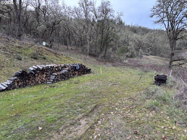 996 Se EAGLES VIEW Dr, Roseburg, OR 97470