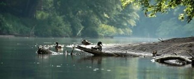 2560 Links End, Roswell, GA 30076