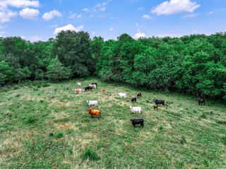 66.682 Acres County Road 2190, Commerce, TX 75428