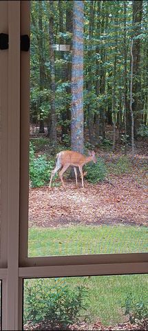 9120 Leverett Circle, Covington, GA 30014
