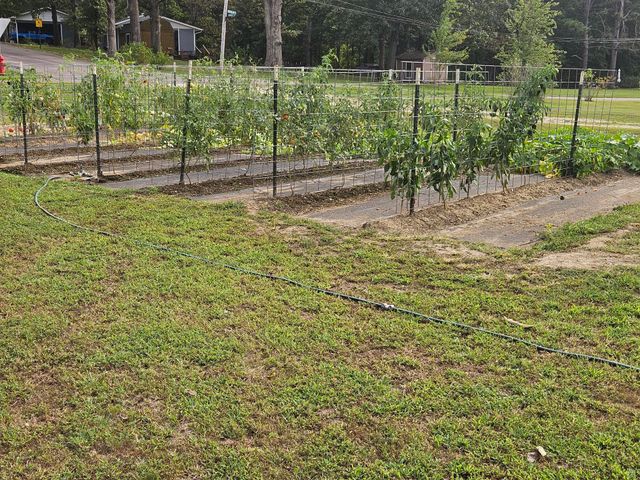 220 State Rte W, Mountain View, MO 65548