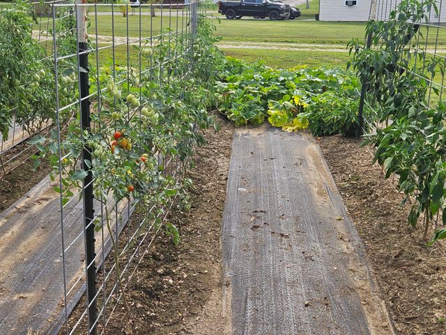 220 State Rte W, Mountain View, MO 65548