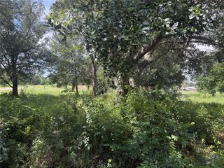 20704 Pearl Street, Prairie View, TX 77484