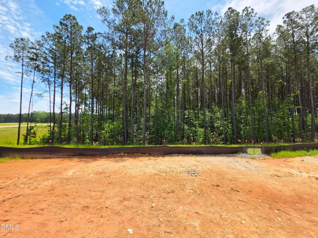 123 S Waterstone Lane, Clayton, NC 27520