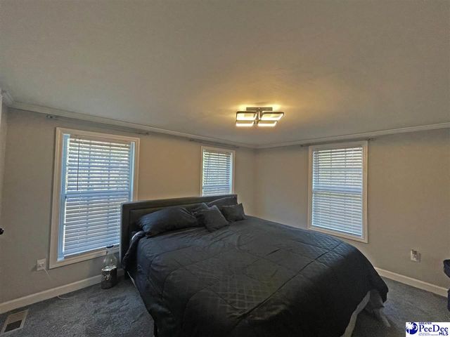 390 TS Sellers Road, Chesterfield, SC 29709