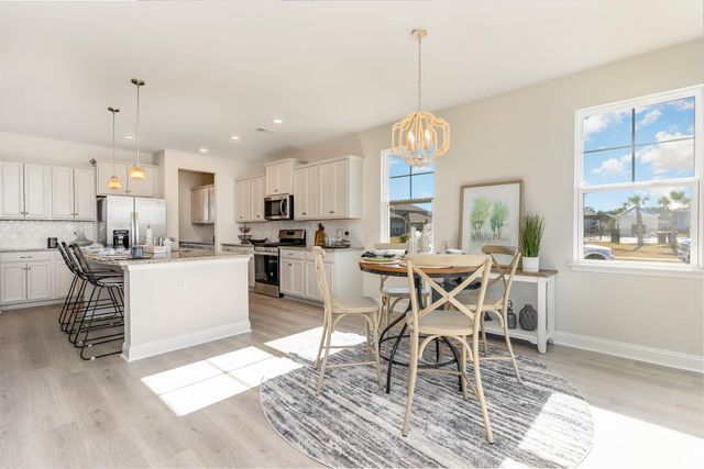 293 Hadley Springs Ave, Longs, SC 29568