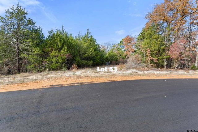 TBD PR 6305 LOT 53, Mineola, TX 75773