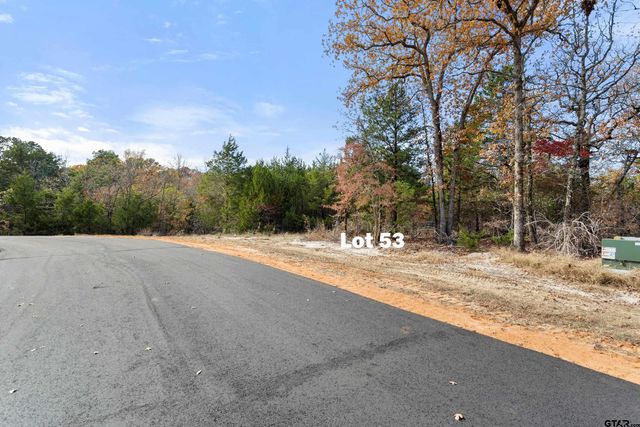 TBD PR 6305 LOT 53, Mineola, TX 75773
