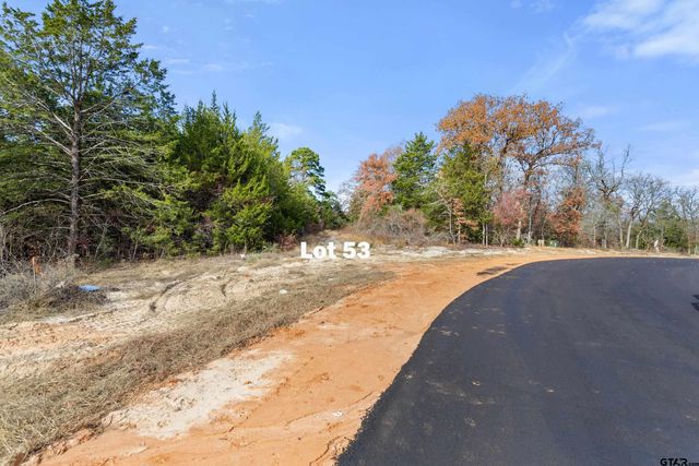 TBD PR 6305 LOT 53, Mineola, TX 75773