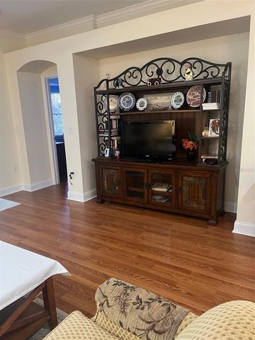 7245 CLEOPATRA DRIVE, Land O Lakes, FL 34637