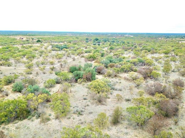 25AC Tract 5 FM 880, Moran, TX 76464