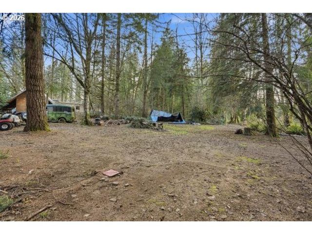 1250 YALE BRIDGE Rd, Amboy, WA 98601